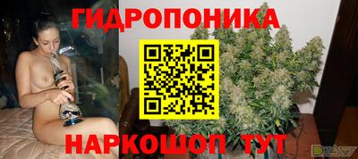 jwh Пыть-Ях
