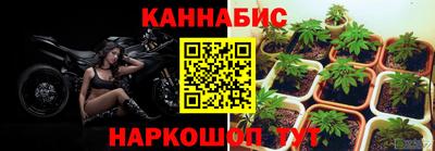 ПСИЛОЦИБИНОВЫЕ ГРИБЫ Пугачёв