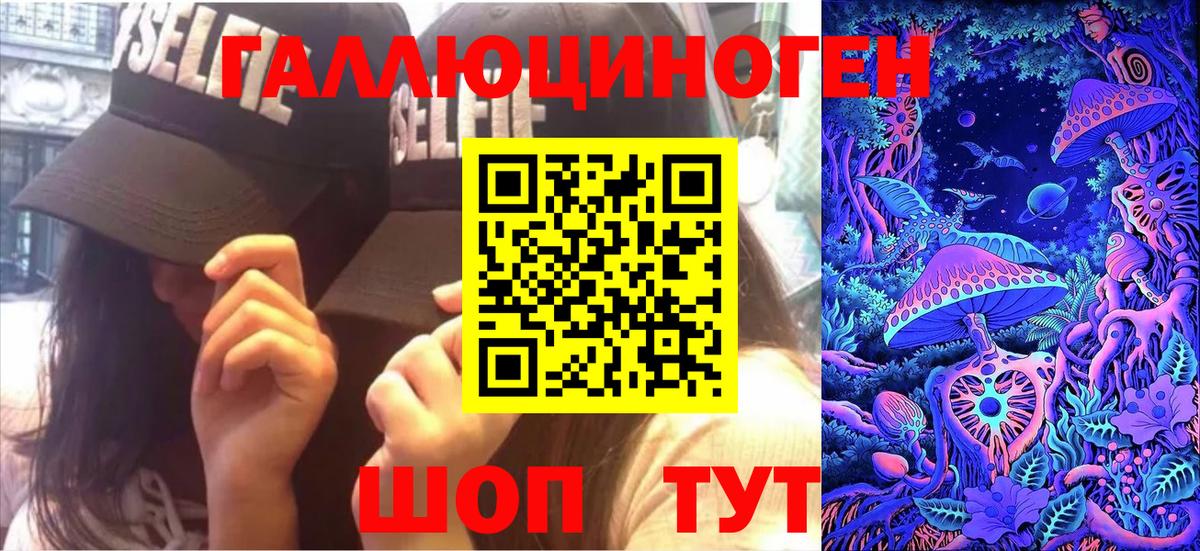 Псилоцибиновые грибы Psilocybe Алексин