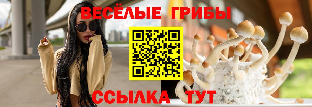 Алексин  Галлюциногенные грибы мицелий  Вход с VPN 